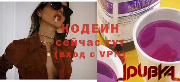 крисы Новодвинск