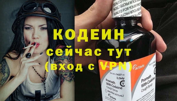 крисы Новодвинск