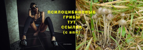 каннабис Новокубанск