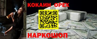 дмт Гай