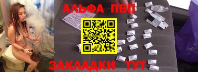 дмт Гай