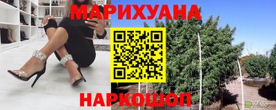 дмт Гай