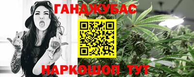 дмт Гай