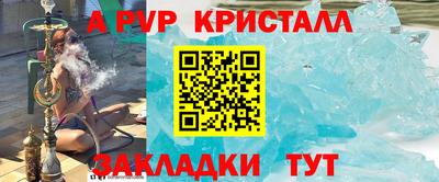 дмт Гай