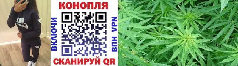 Канабис семена  Куйбышев 